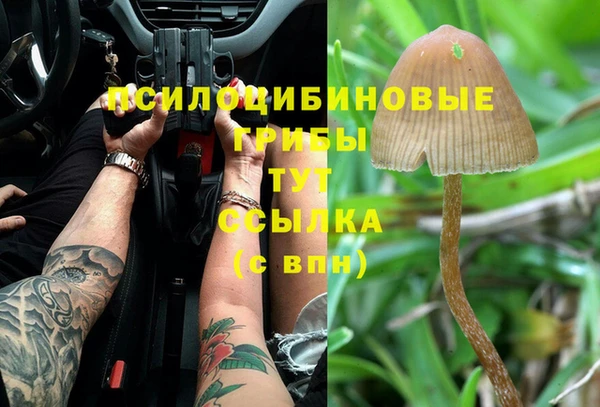 синтетический гашиш Ельня